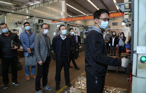 開平市領導督導檢查歲末年初疫情防控 安全生產工作