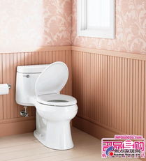 強力推薦 及省水又不貴的品牌衛浴產品 圖文
